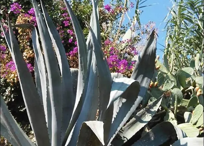 Ξενοδοχείο Punto Azzurro 3*